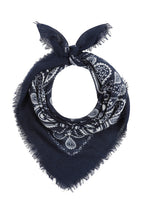 Midnight Paisley
