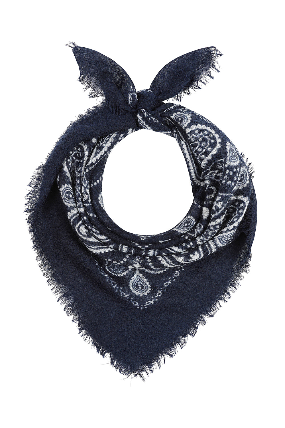 Midnight Paisley