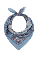 Cornflower Paisley