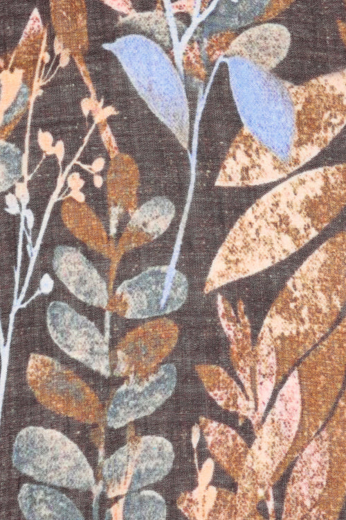 Cocoa garden